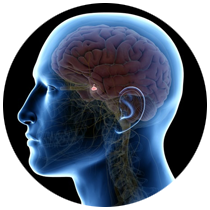 Pituitary disorder Treatment in Dubai